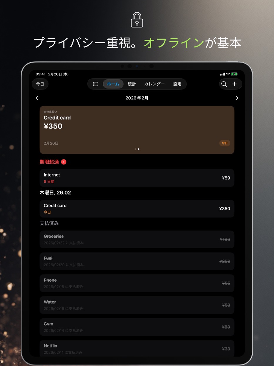 Privacy first. Offline by default. — iPad