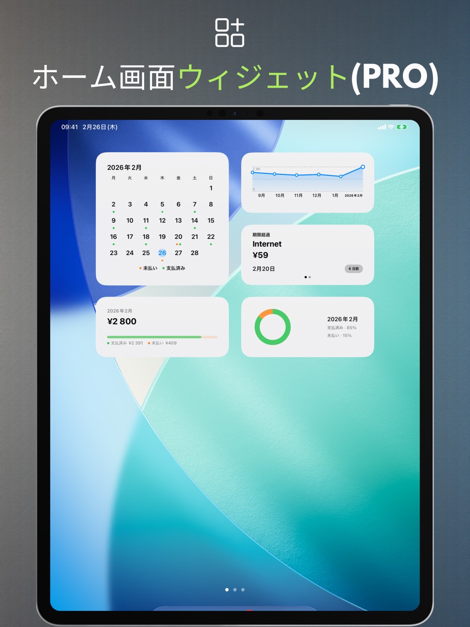 Home Screen widgets (PRO) — iPad