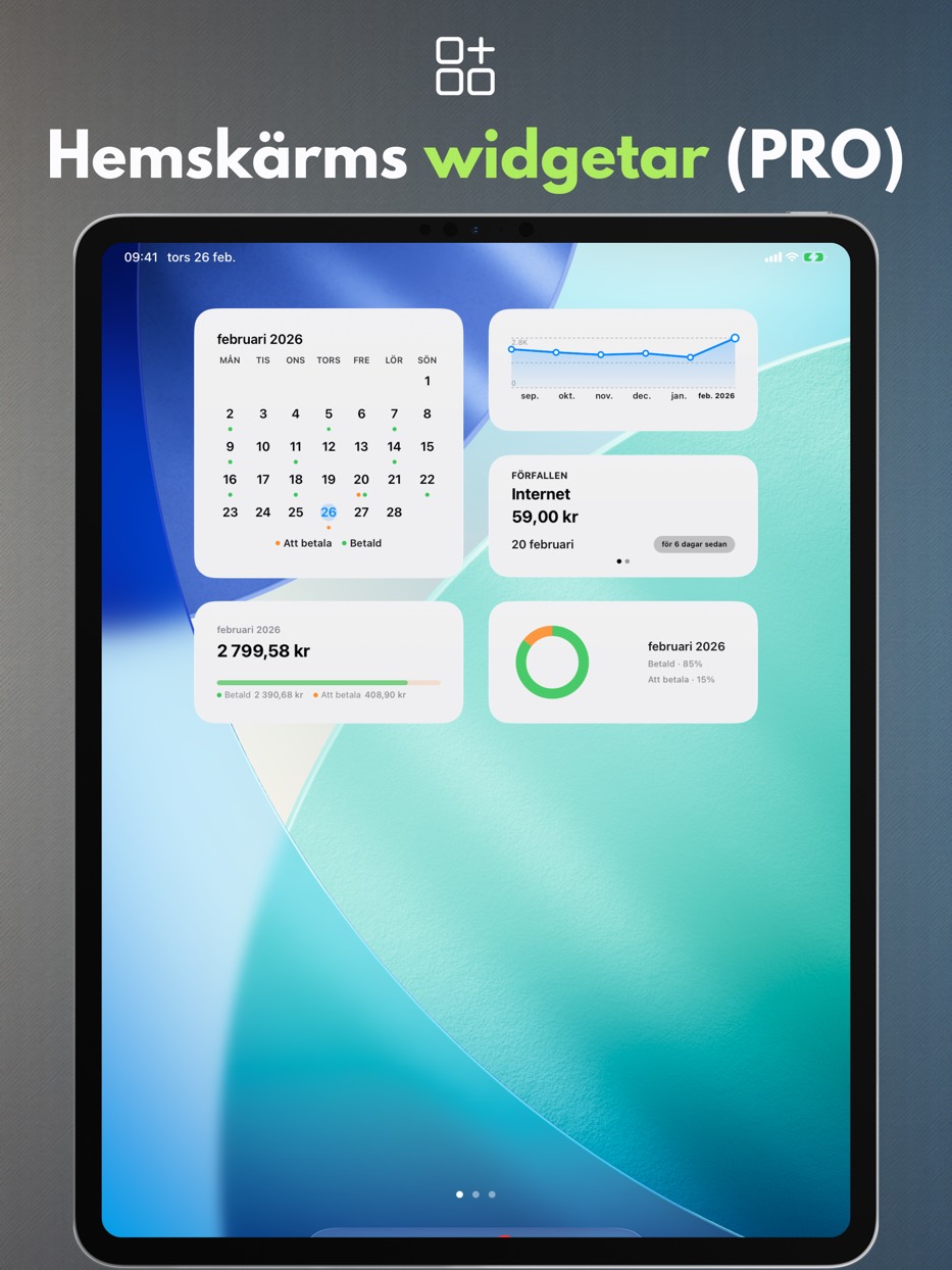 Home Screen widgets (PRO) — iPad