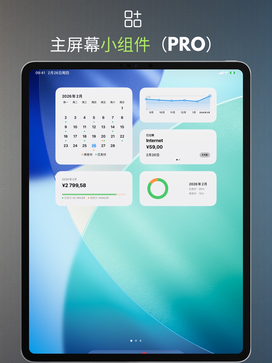 Home Screen widgets (PRO) — iPad